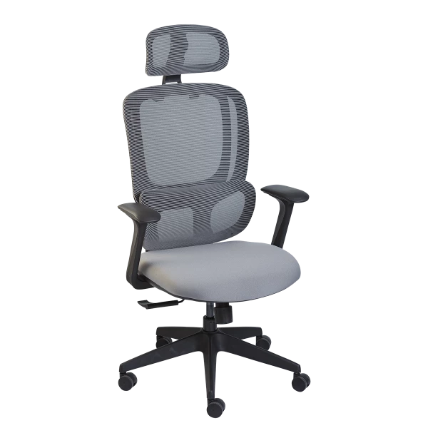 Ergonomic Mesh Office Chair - Grey with Adjustable Headrest
