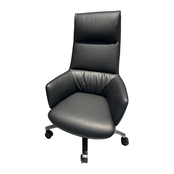 Contemporary Curved Office Chair - Ergonomic Lounge Design