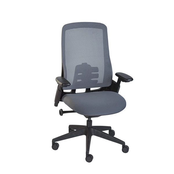 High-Back Ergonomic Mesh Office Chair - Grey with Adjustable Headrest