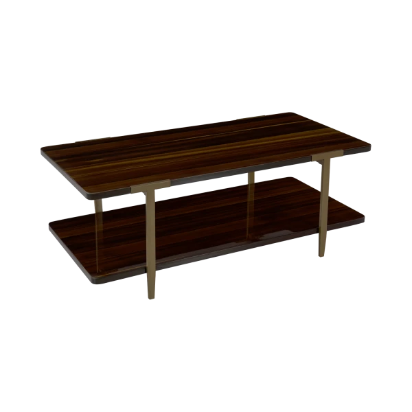 Modern Two-Tier Coffee Table with Dark Wood Finish and Metal Frame