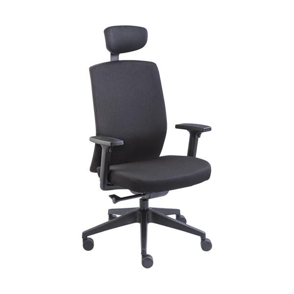 Professional Ergonomic Office Chair - Black with Adjustable Headrest